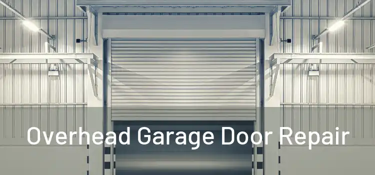  Overhead Garage Door Repair 